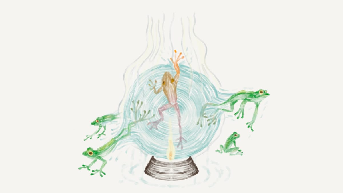 How Amphibians Hold the Climate Crystal Ball