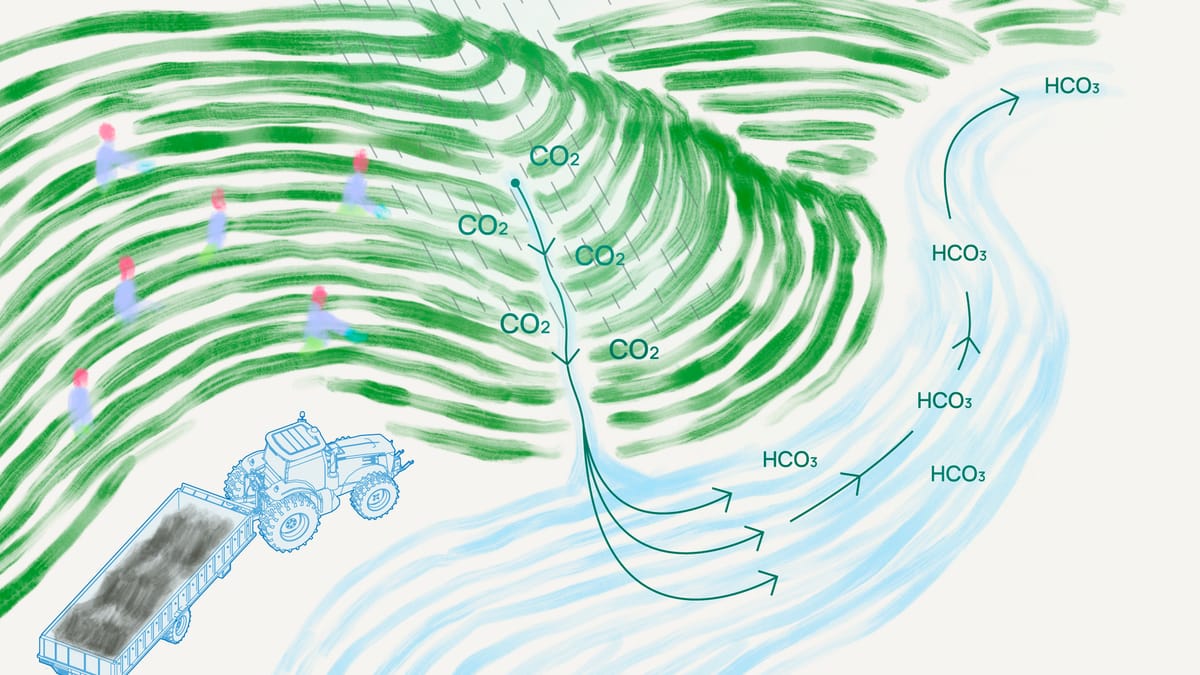 What Is Enhanced Rock Weathering? (ELI5)