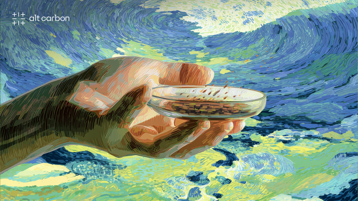 How we measure CO₂ removal