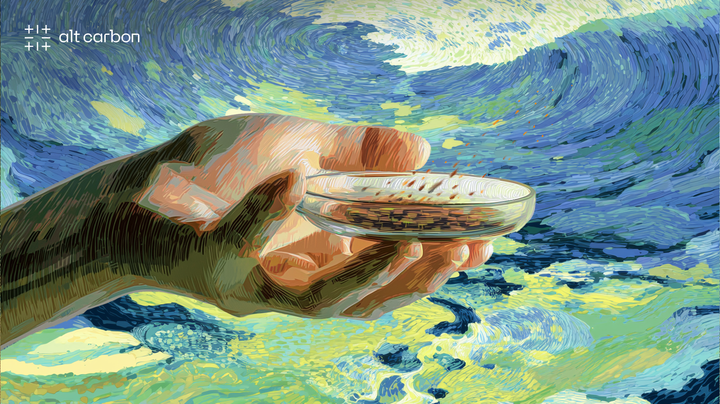 How we measure CO₂ removal